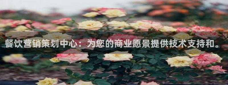 必赢亚赢网站官网下载