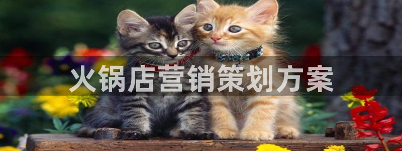 必赢官网网址多少号登录入口