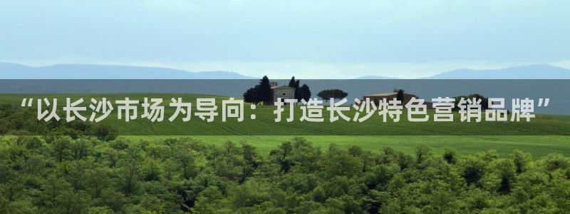 必赢网站是哪一个