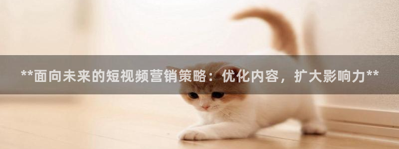 必赢官网入口下载