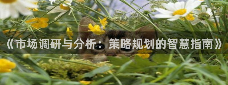 必赢客官方