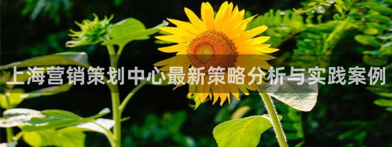 下载s7321必赢