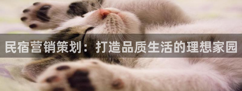 9965必赢游戏特色