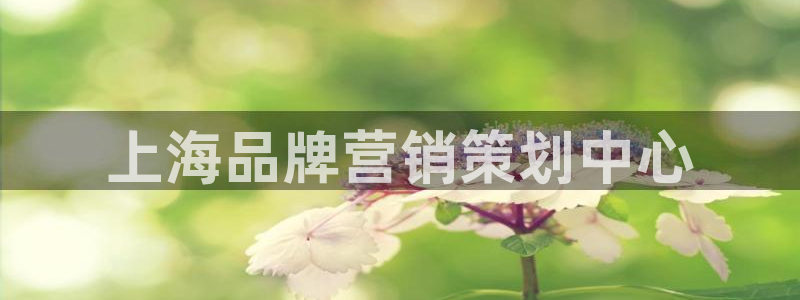 必赢官网app下载苹果版