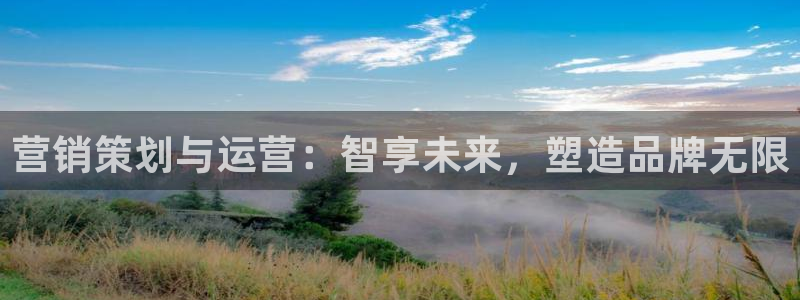 必赢网站有哪些