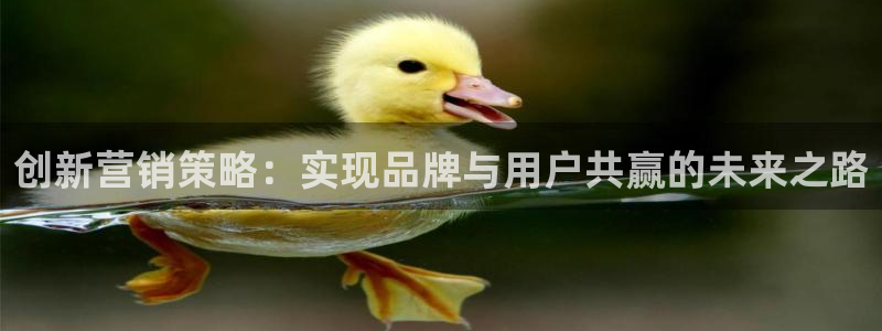 必赢亚赢网站官网下载安装手机版