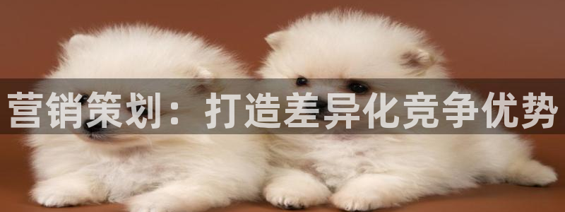 必赢72886网址多少啊