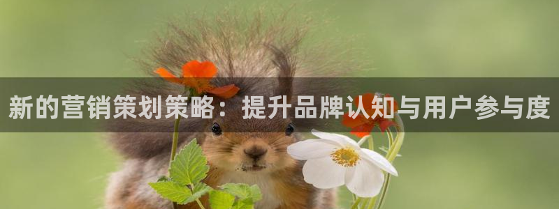 必赢官网app下载苹果