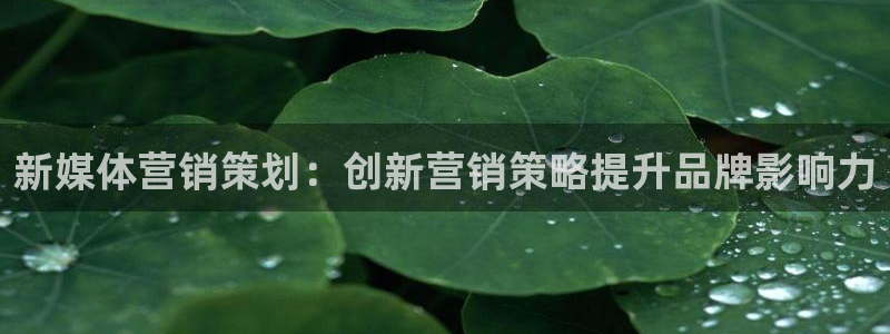 必赢官网app下载安装手机版苹果