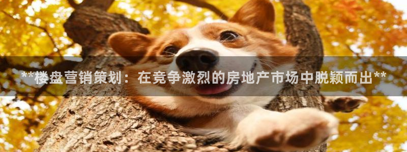 9965必赢游戏app