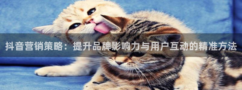 必赢旧网站