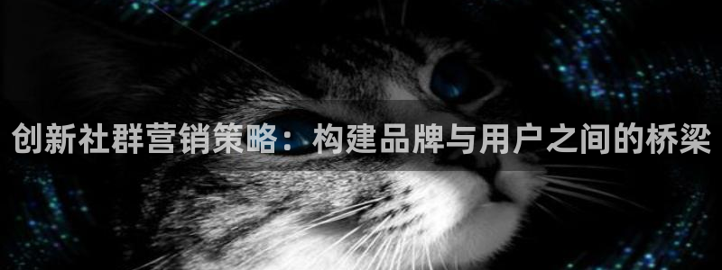 必赢国际游戏技巧
