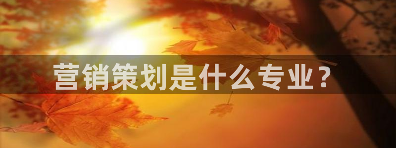 必赢888国际集团
