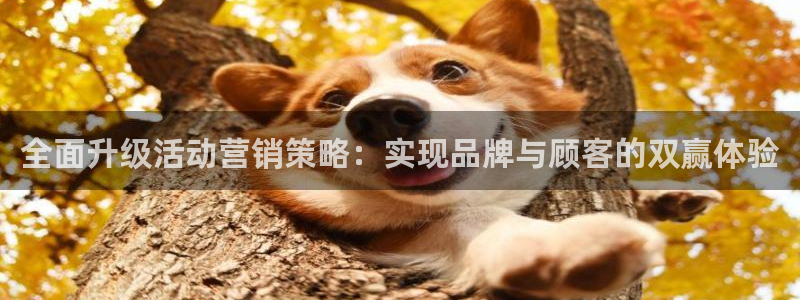 必赢网站打不开