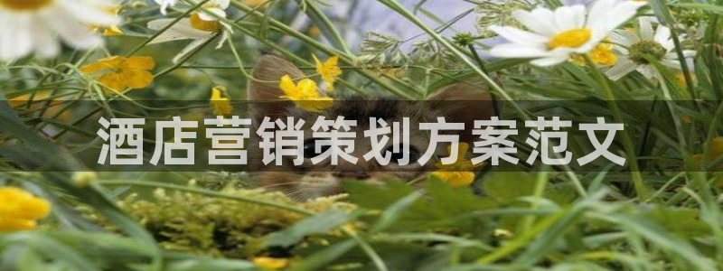 必赢亚赢网站官网下载手机版安卓