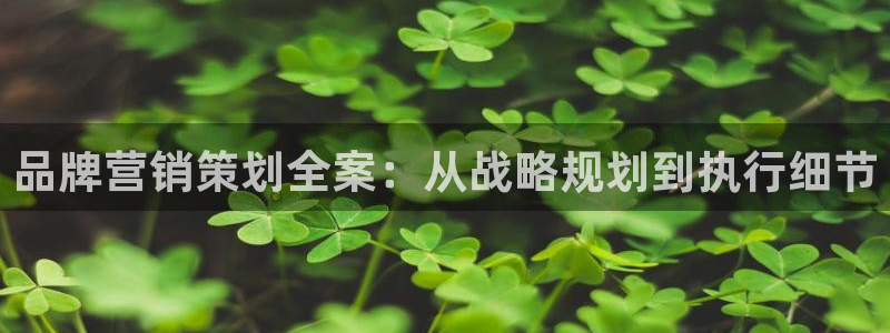 必赢抢红包网址