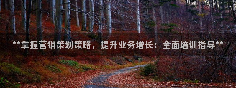 必赢网站打不开