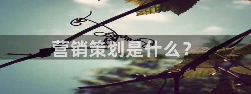 必赢官网入口下载app