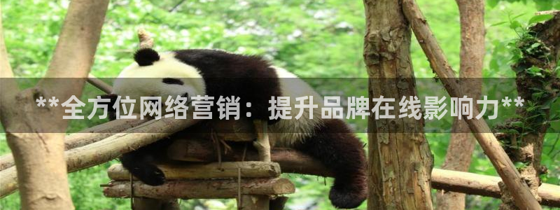 必赢下载ipad