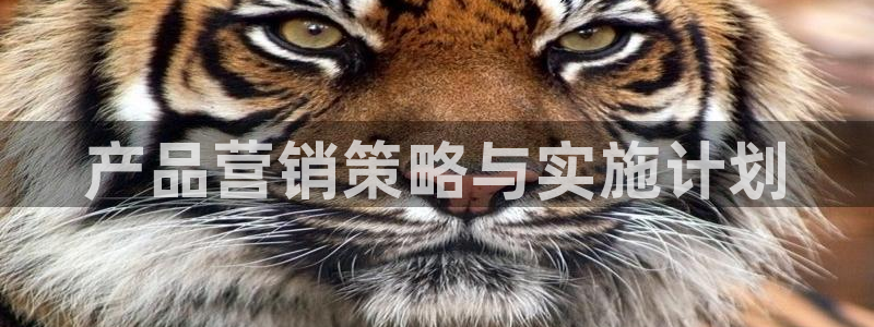 56.nt必赢官网