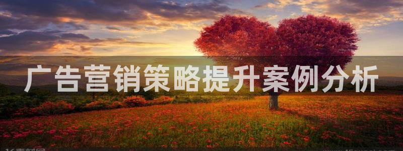 必赢72886是黑网站么