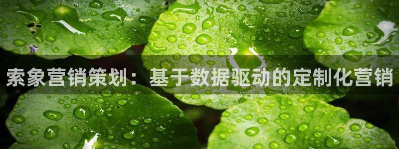 必赢这个平台怎么样可靠吗