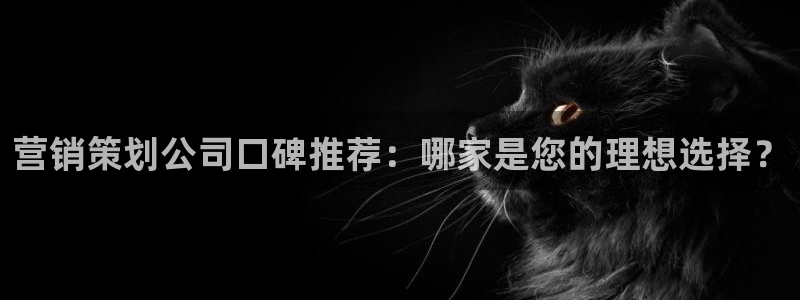 必赢科技中国有限公司