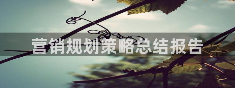 必赢下载