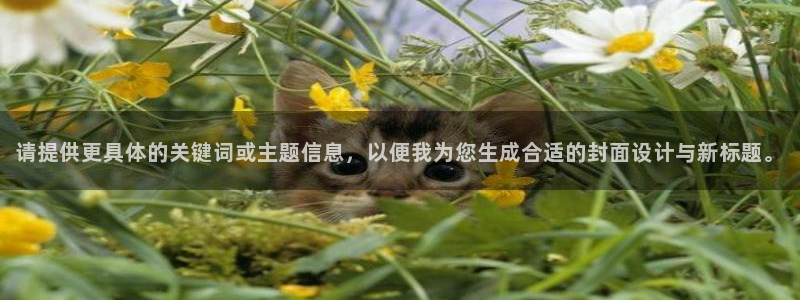 必赢下载安卓版