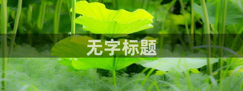 必赢平台官方客服电话