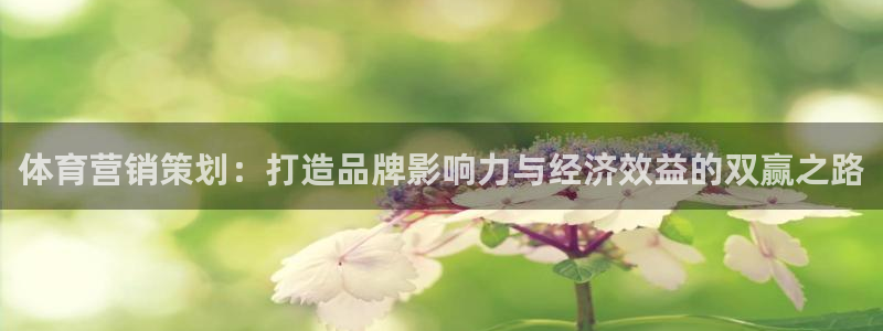 必赢国际网站合法吗