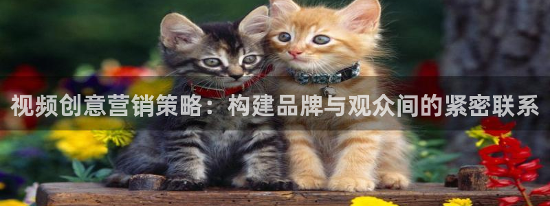 必赢链接