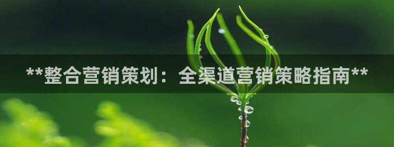 必赢官网app下载苹果版