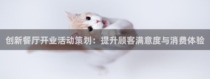 必赢网站是多少啊