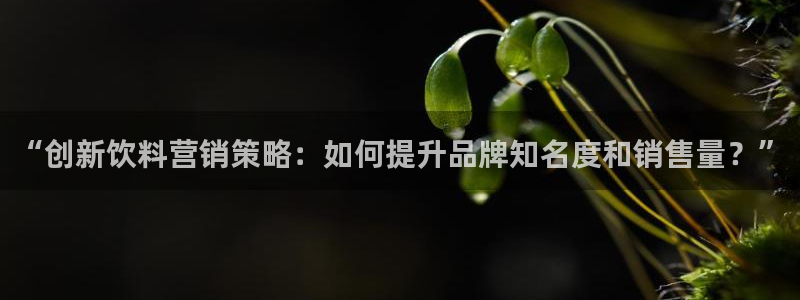 必赢手机app下载抢红包