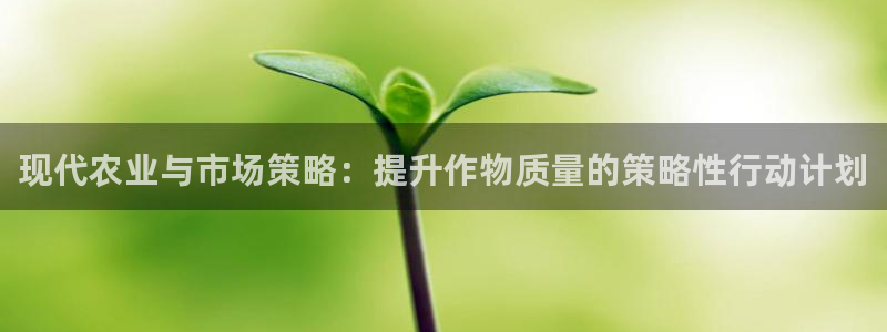 必赢app官方