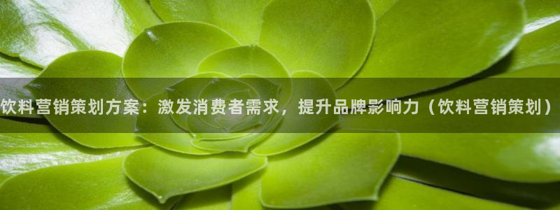 必赢网址