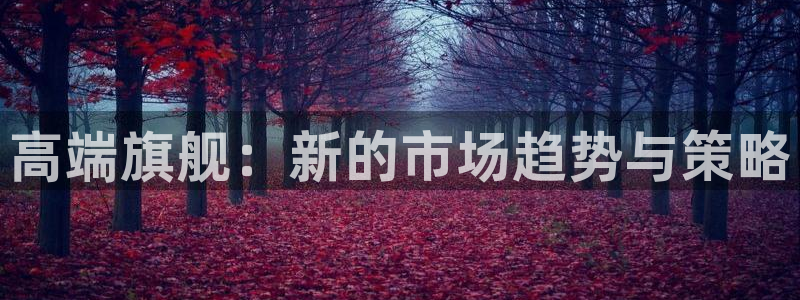 必赢线上网址查询