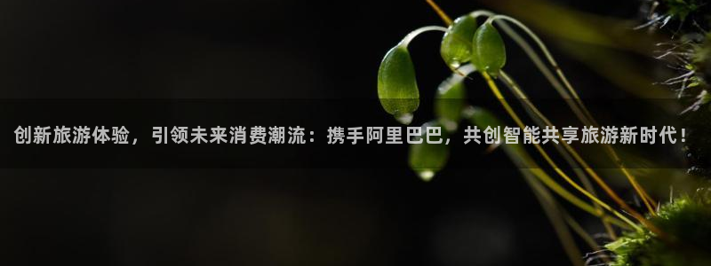 必赢网站是多少啊