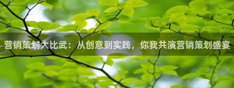 必赢qp