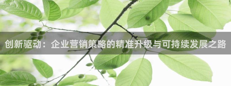 必赢线上网址是多少