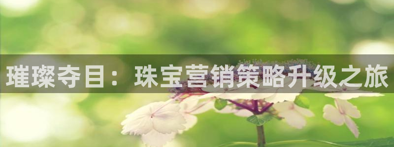 必赢app客户端下载官网