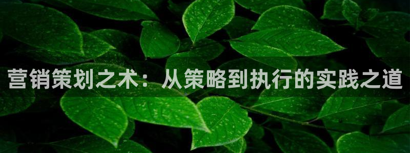 必赢科技有限公司
