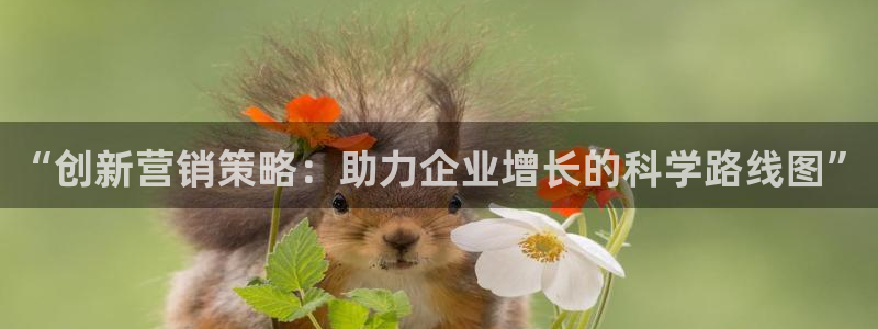 必赢国际437官方介绍