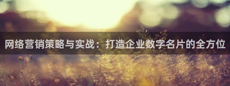 必赢国际app下链接