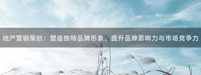 必赢国际437官网版：地产营销