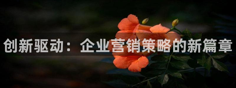 必赢国际437官网版：创新驱动