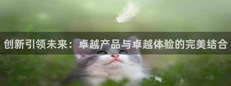 必赢的意思是什么