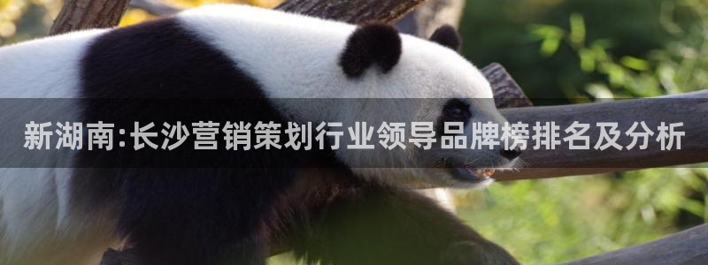 必赢app安卓版下载：新湖南: