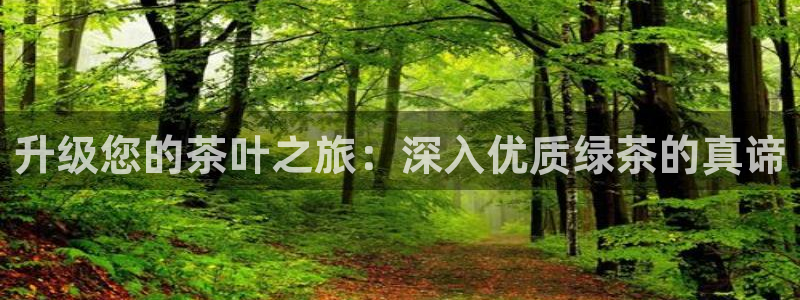 9965必赢游戏app大全：升